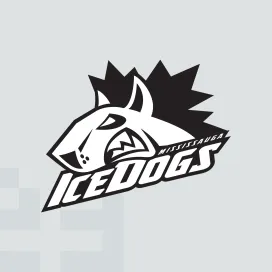 Mississauga ice dogs 2